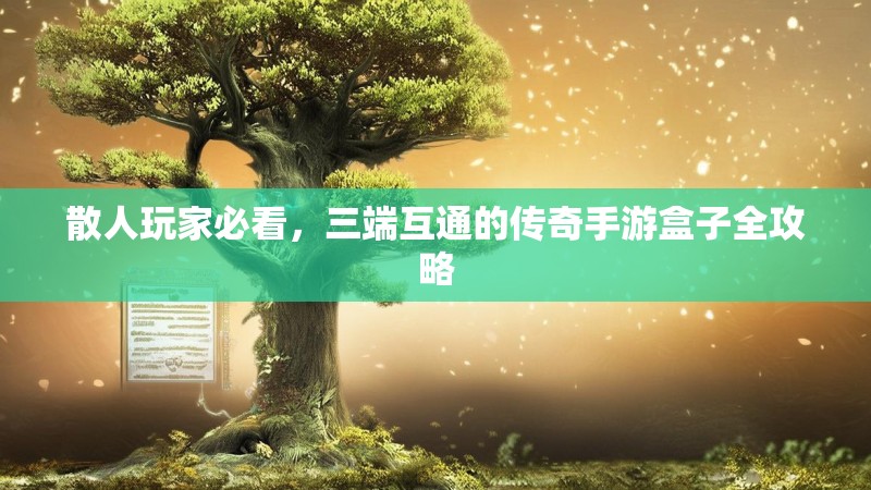 散人玩家必看，三端互通的传奇手游盒子全攻略