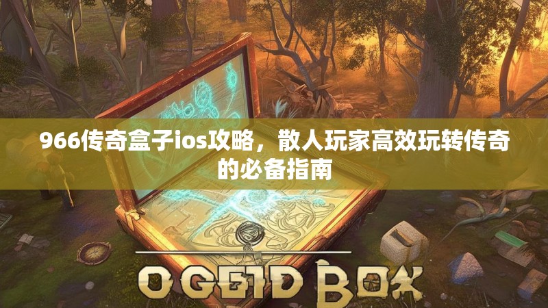 966传奇盒子ios攻略，散人玩家高效玩转传奇的必备指南