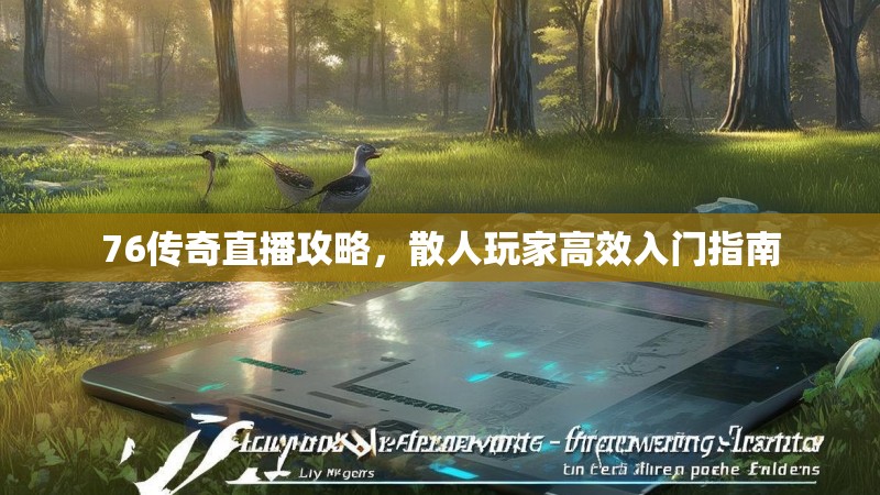 76传奇直播攻略,散人玩家高效入门指南