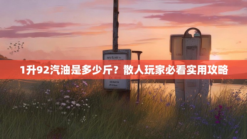 1升92汽油是多少斤？散人玩家必看实用攻略