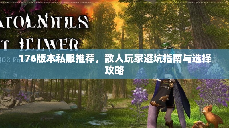 176版本私服推荐，散人玩家避坑指南与选择攻略