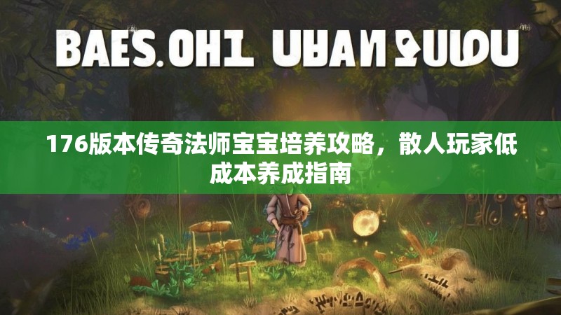 176版本传奇法师宝宝培养攻略,散人玩家低成本养成指南