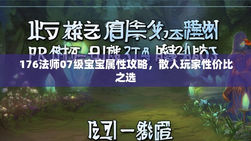 176法师07级宝宝属性攻略，散人玩家性价比之选