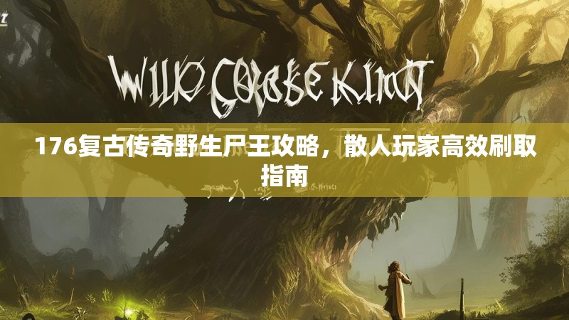 176复古传奇野生尸王攻略，散人玩家高效刷取指南