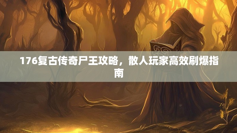 176复古传奇尸王攻略,散人玩家高效刷爆指南