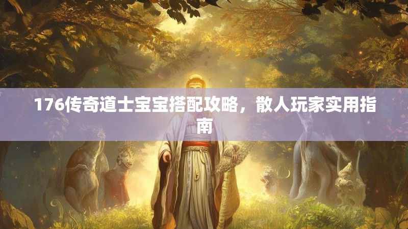 176传奇道士宝宝搭配攻略,散人玩家实用指南