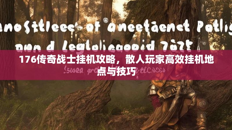 176传奇战士挂机攻略,散人玩家高效挂机地点与技巧