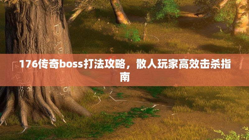 176传奇boss打法攻略，散人玩家高效击杀指南