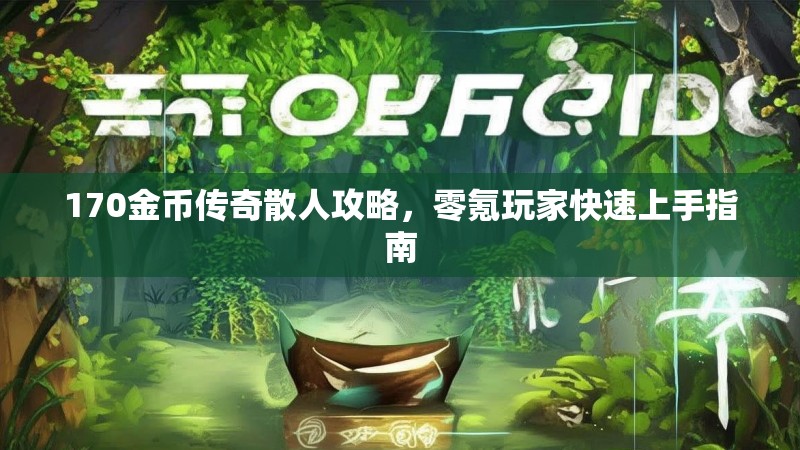 170金币传奇散人攻略,零氪玩家快速上手指南