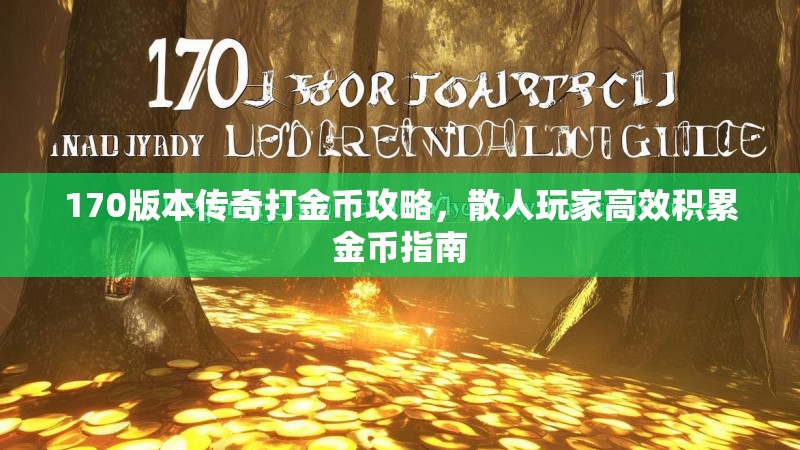 170版本传奇打金币攻略，散人玩家高效积累金币指南