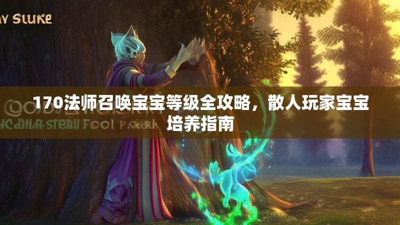 170法师召唤宝宝等级全攻略,散人玩家宝宝培养指南