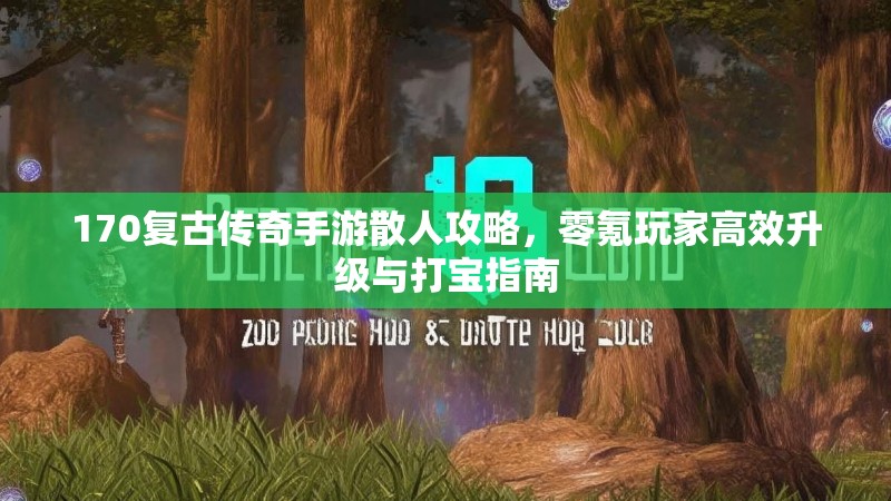170复古传奇手游散人攻略，零氪玩家高效升级与打宝指南