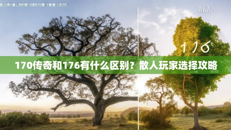 170传奇和176有什么区别?散人玩家选择攻略