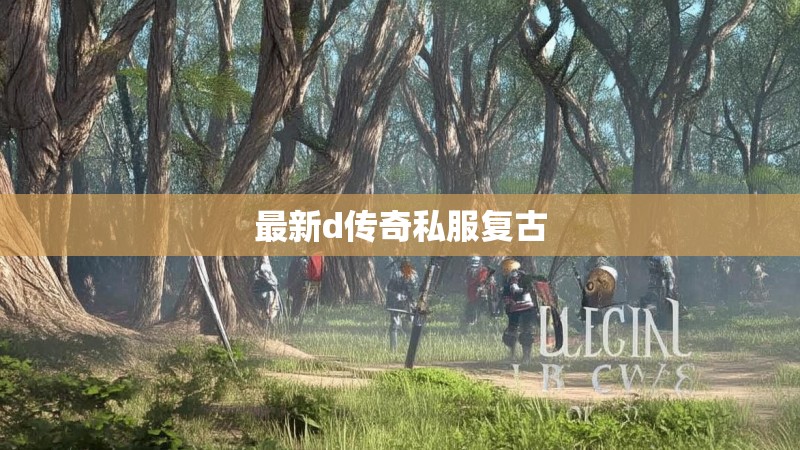 最新d传奇私服复古