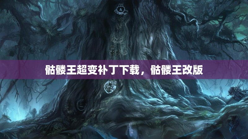 骷髅王超变补丁下载，骷髅王改版