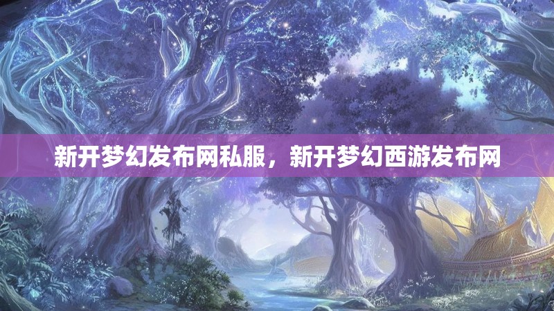 新开梦幻发布网私服，新开梦幻西游发布网