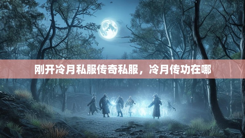 刚开冷月私服传奇私服,冷月传功在哪
