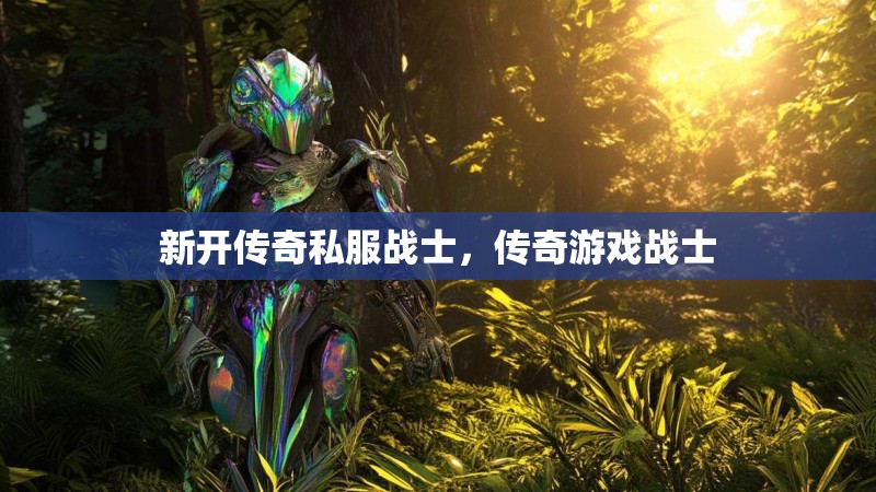 新开传奇私服战士,传奇游戏战士