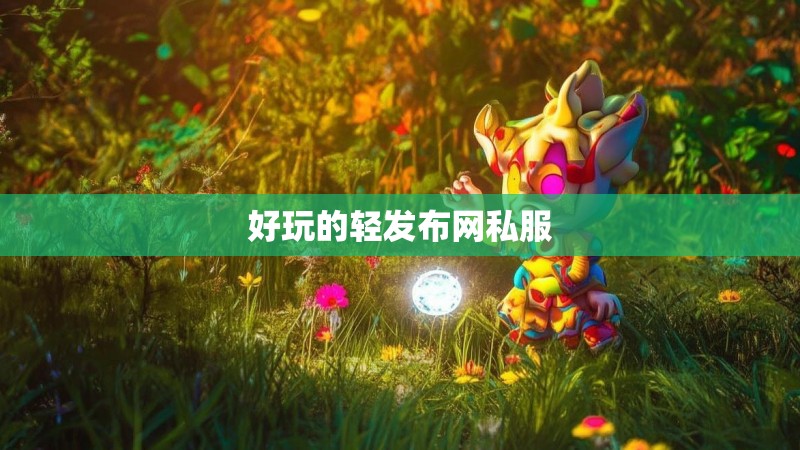 好玩的轻发布网私服