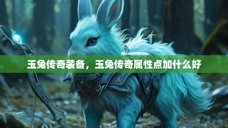 玉兔传奇装备，玉兔传奇属性点加什么好
