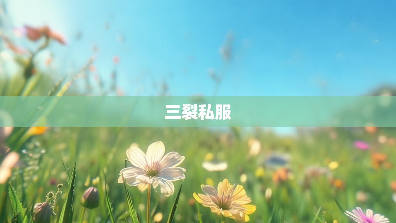 三裂私服