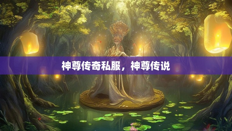 神尊传奇私服，神尊传说