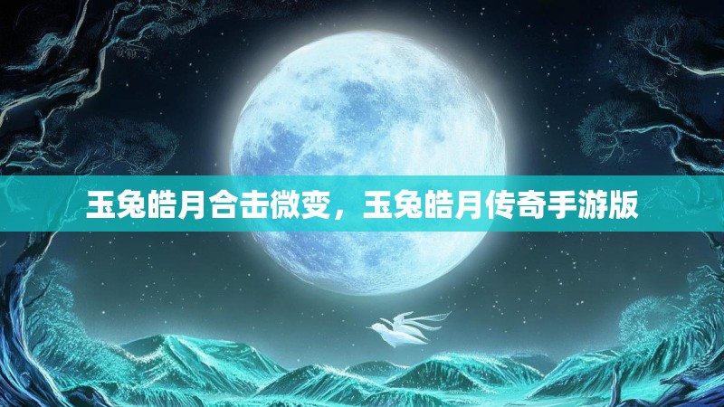 玉兔皓月合击微变,玉兔皓月传奇手游版
