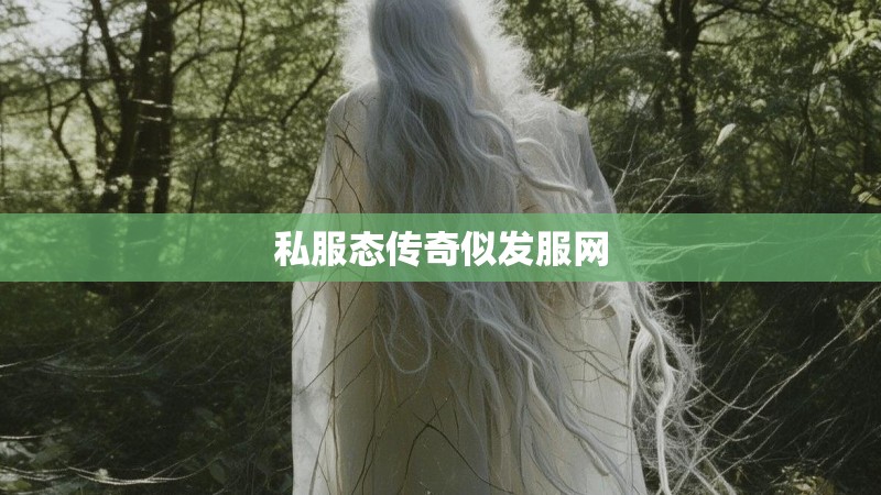 私服态传奇似发服网