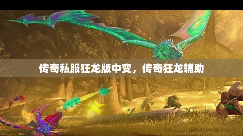 传奇私服狂龙版中变，传奇狂龙辅助
