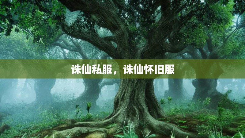 诛仙私服,诛仙怀旧服