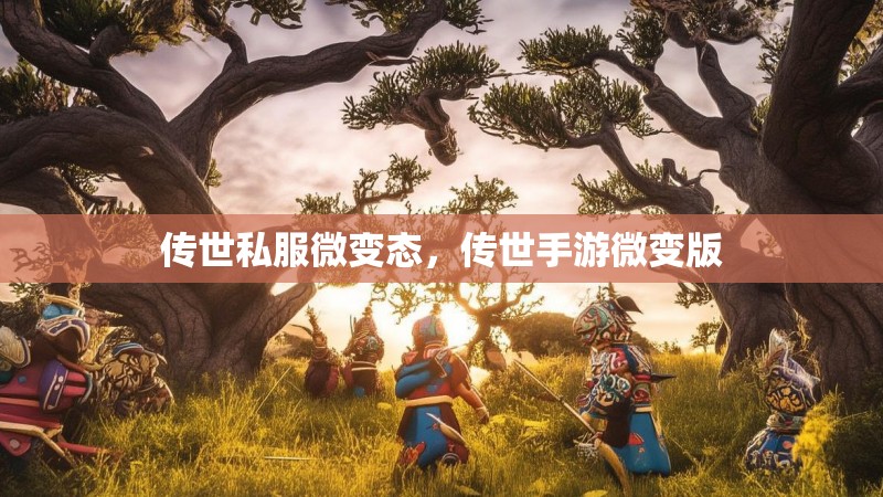 传世私服微变态,传世手游微变版