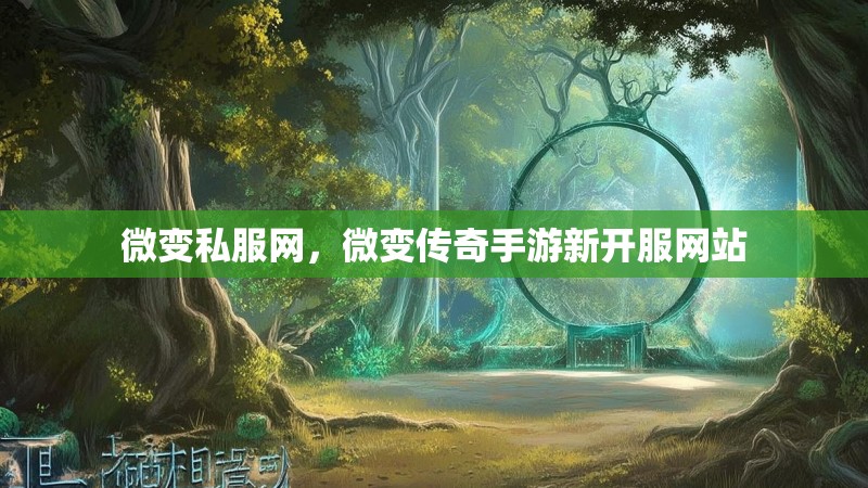 微变私服网，微变传奇手游新开服网站