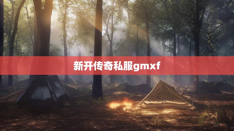 新开传奇私服gmxf
