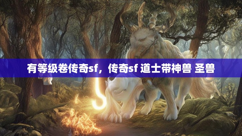 有等级卷传奇sf，传奇sf 道士带神兽 圣兽