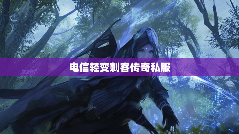 电信轻变刺客传奇私服