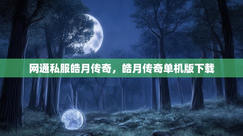 网通私服皓月传奇，皓月传奇单机版下载